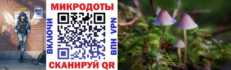Галлюциногенные грибы мицелий  Кедровый 